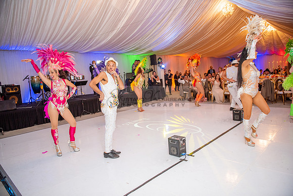 Fanny and Gustavo wedding celebration photography and videograph