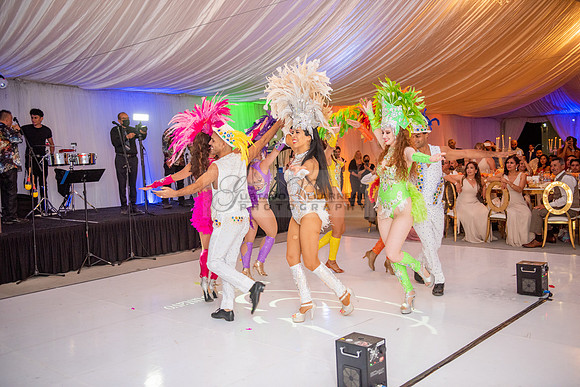 Fanny and Gustavo wedding celebration photography and videograph