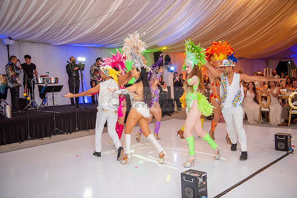 Fanny and Gustavo wedding celebration photography and videograph