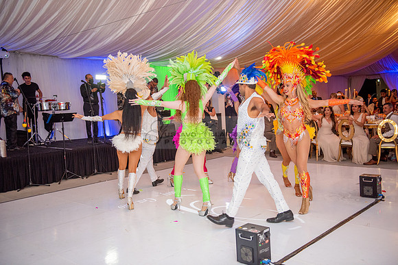 Fanny and Gustavo wedding celebration photography and videograph