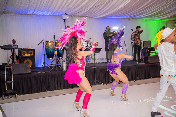 Fanny and Gustavo wedding celebration photography and videograph