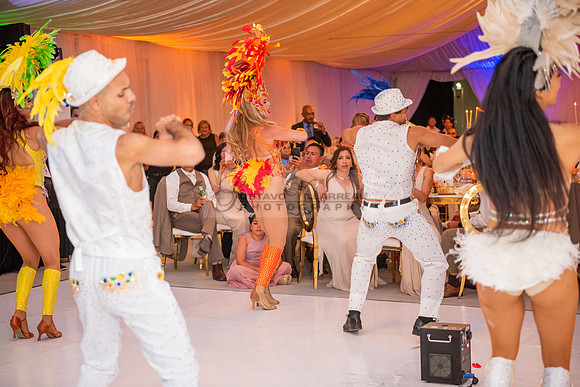 Fanny and Gustavo wedding celebration photography and videograph