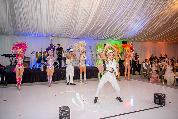 Fanny and Gustavo wedding celebration photography and videograph