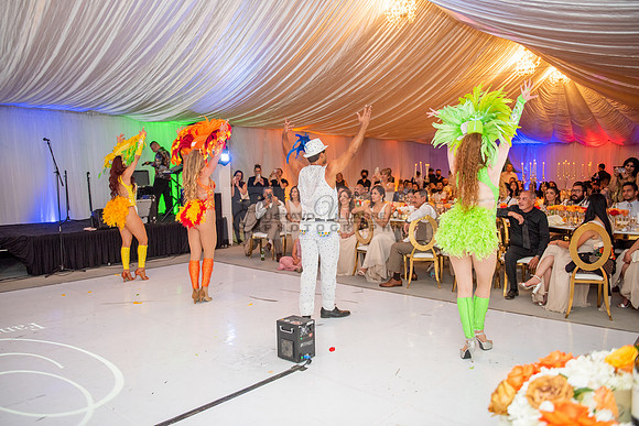 Fanny and Gustavo wedding celebration photography and videograph