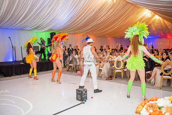 Fanny and Gustavo wedding celebration photography and videograph