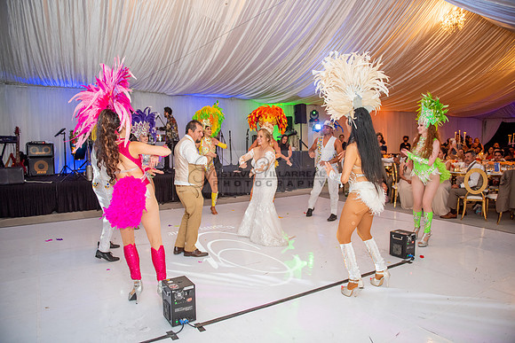 Fanny and Gustavo wedding celebration photography and videograph