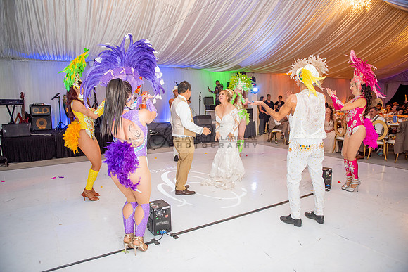 Fanny and Gustavo wedding celebration photography and videograph