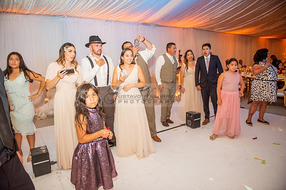 Fanny and Gustavo wedding celebration photography and videograph