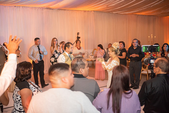 Fanny and Gustavo wedding celebration photography and videograph