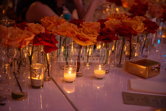 Fanny and Gustavo wedding celebration photography and videograph