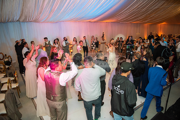 Fanny and Gustavo wedding celebration photography and videograph