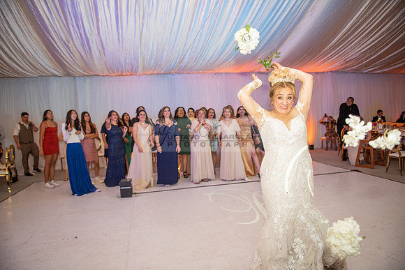 Fanny and Gustavo wedding celebration photography and videograph