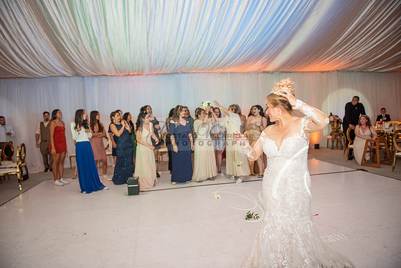 Fanny and Gustavo wedding celebration photography and videograph