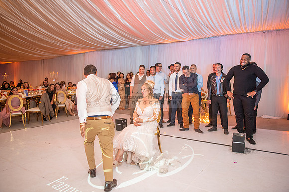 Fanny and Gustavo wedding celebration photography and videograph