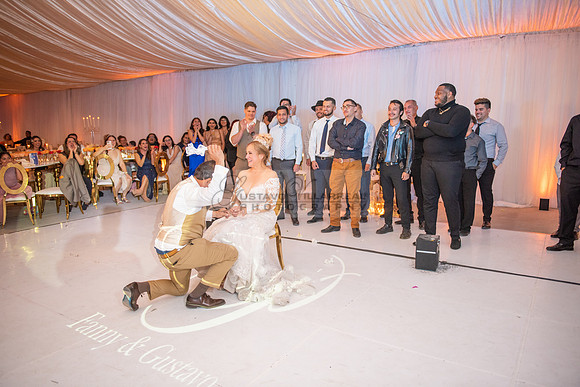 Fanny and Gustavo wedding celebration photography and videograph