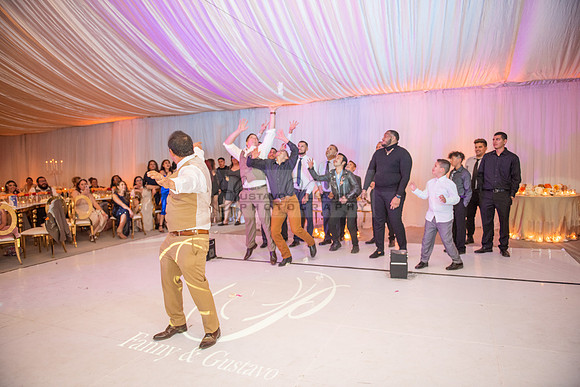Fanny and Gustavo wedding celebration photography and videograph