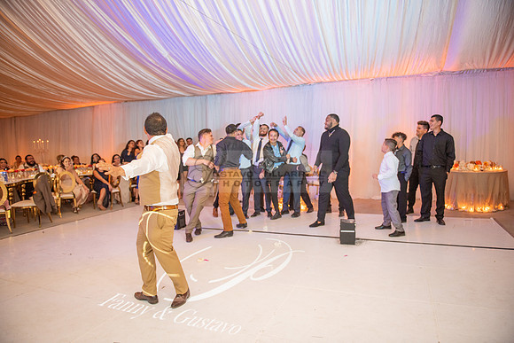 Fanny and Gustavo wedding celebration photography and videograph