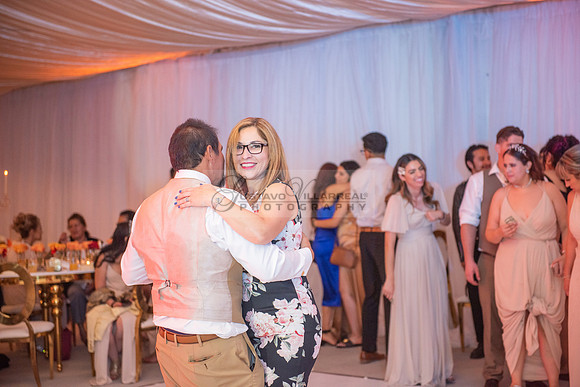 Fanny and Gustavo wedding celebration photography and videograph