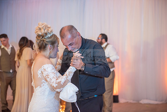 Fanny and Gustavo wedding celebration photography and videograph