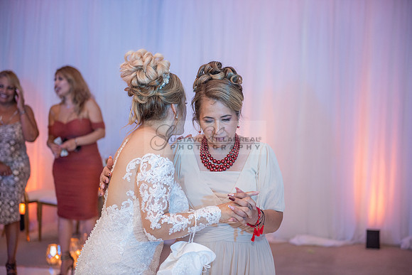 Fanny and Gustavo wedding celebration photography and videograph