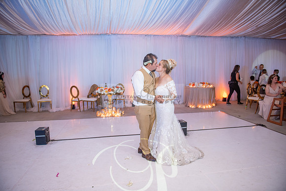 Fanny and Gustavo wedding celebration photography and videograph