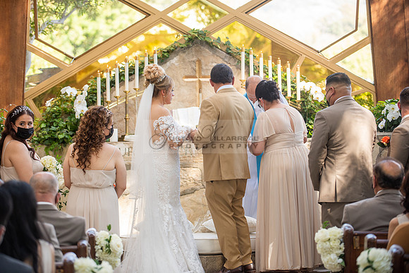 Fanny and Gustavo wedding celebration photography and videograph