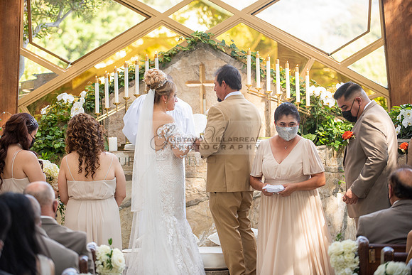 Fanny and Gustavo wedding celebration photography and videograph