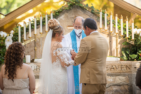 Fanny and Gustavo wedding celebration photography and videograph
