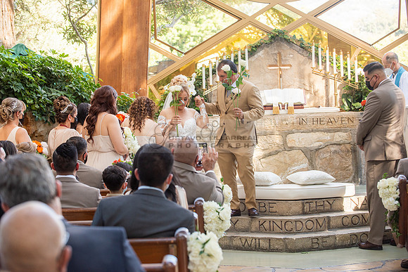 Fanny and Gustavo wedding celebration photography and videograph