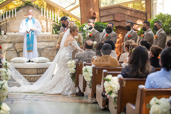 Fanny and Gustavo wedding celebration photography and videograph