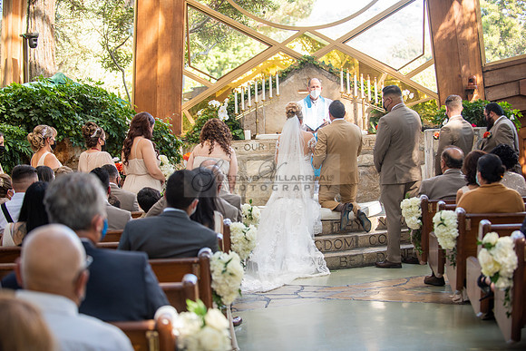 Fanny and Gustavo wedding celebration photography and videograph