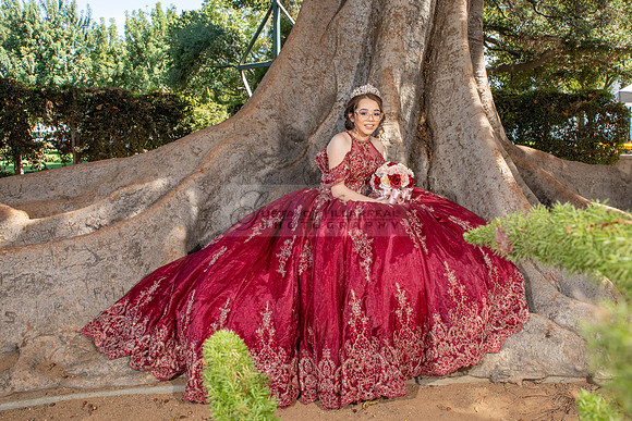Astrid Cuevas Sweet 16 celebration at Azar Event Center in Whitt