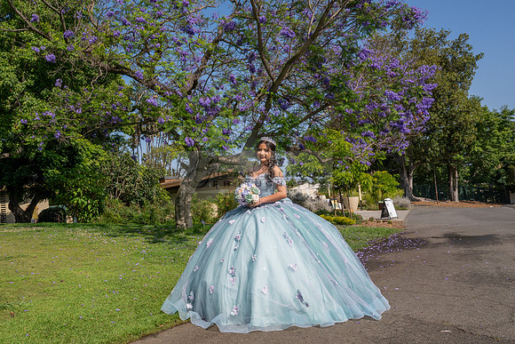 Janelle Ornelas quinceanera photo shoot at the arboretum in Arcadia Ca, Gustavo Villarreal Photography, 323-633-8283, www.gvphotoandvideo.com