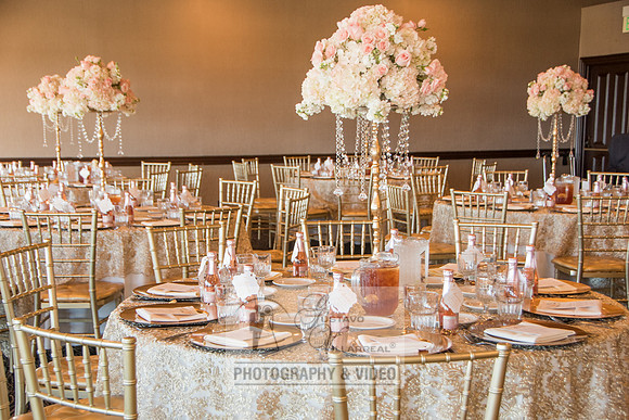 Beatriz and Eric wedding photographers, videographers, quinceaner