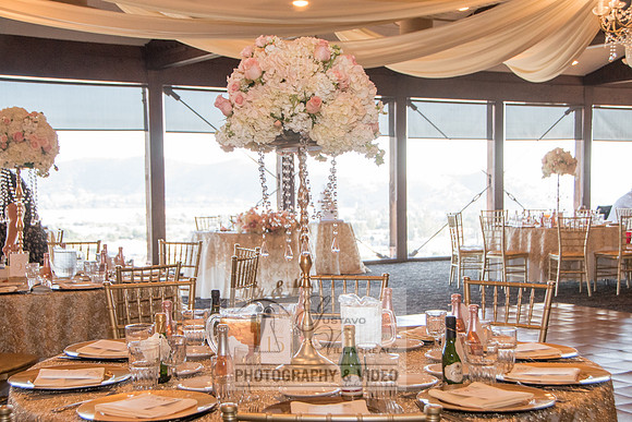 Beatriz and Eric wedding photographers, videographers, quinceaner