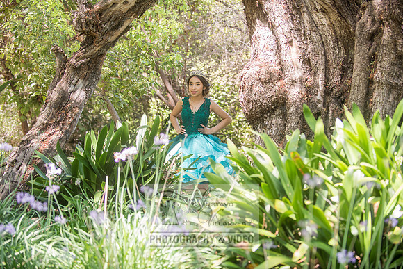 Brianna Gonzalez quinceanera photography session at Heritage Park in Santa Fe Springs Ca.