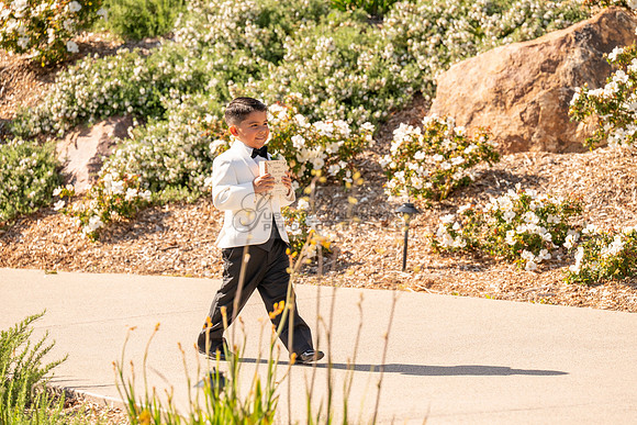 Gabriel and Daisy, LINK #1, wedding, celebration, reception, ceremony at Monserate Winery at Fallbrook Ca, Photography, videography, Gustavo Villarreal, 323-633-8283, www.gustavovillarreal.com