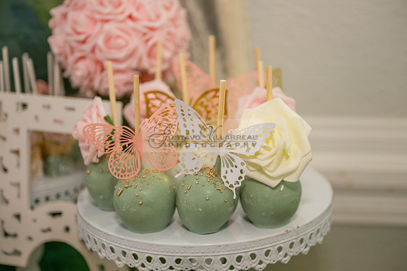 Jade Perez quinceanera celebration photography, videography in Montebello Ca, Whittier Ca by Gustavo Villarreal Photography, 323-633-8283, www.gvphotoandvideo.com