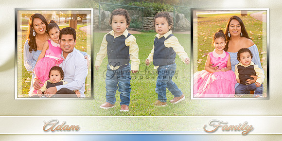Adam baby album