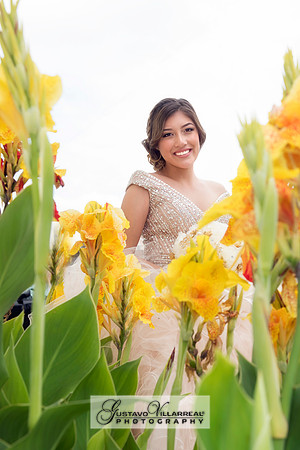 QUINCEANERAS, SWEET SIXTEENS, 18TH BIRTHDAY DEBUT, photography and video service, weddings, family portraits, business headshots, photography studio in Whittier Ca, 323-633-8283