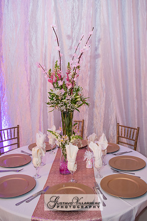 Brianna Villafan Quinceanera photography and video at Kenneth Hahn State Park in Los Angeles Ca, Salehs Palace reception hall in Whittier Ca by Gustavo Villarreal photography