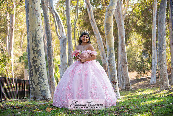 Brianna Villafan Quinceanera photography and video at Kenneth Hahn State Park in Los Angeles Ca, Salehs Palace reception hall in Whittier Ca by Gustavo Villarreal photography