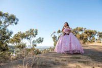 Brianna Villafan Quinceanera photography and video at Kenneth Hahn State Park in Los Angeles Ca, Salehs Palace reception hall in Whittier Ca by Gustavo Villarreal photography