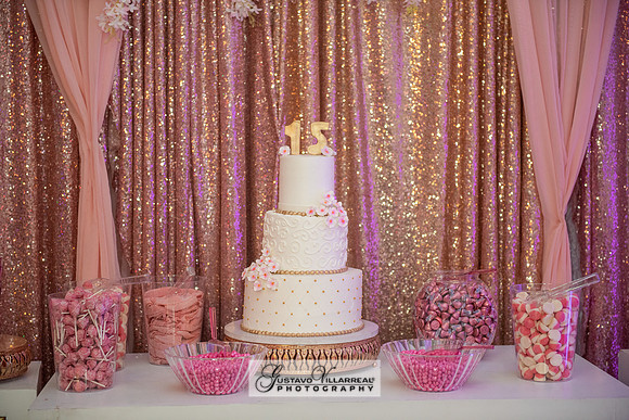 Brianna Villafan Quinceanera photography and video at Kenneth Hahn State Park in Los Angeles Ca, Salehs Palace reception hall in Whittier Ca by Gustavo Villarreal photography