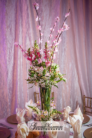 Brianna Villafan Quinceanera photography and video at Kenneth Hahn State Park in Los Angeles Ca, Salehs Palace reception hall in Whittier Ca by Gustavo Villarreal photography