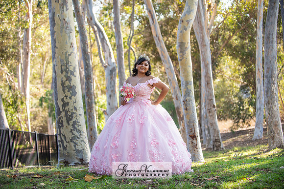 Brianna Villafan Quinceanera photography and video at Kenneth Hahn State Park in Los Angeles Ca, Salehs Palace reception hall in Whittier Ca by Gustavo Villarreal photography