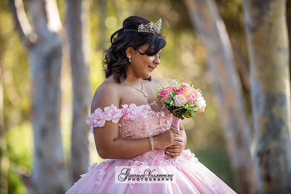 Brianna Villafan Quinceanera photography and video at Kenneth Hahn State Park in Los Angeles Ca, Salehs Palace reception hall in Whittier Ca by Gustavo Villarreal photography