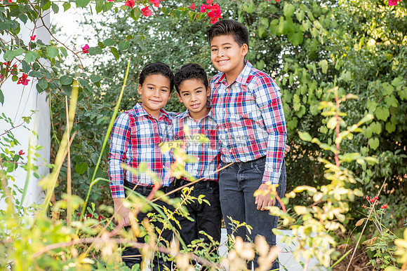 Family photo session, maternity, engagements,  at Bosque del Rio