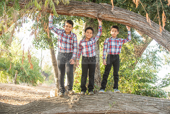 Family photo session, maternity, engagements,  at Bosque del Rio