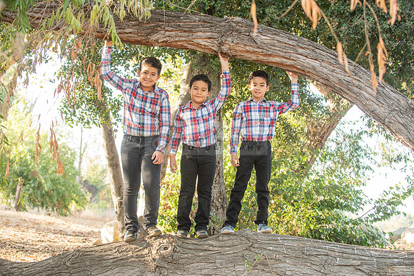 Family photo session, maternity, engagements,  at Bosque del Rio